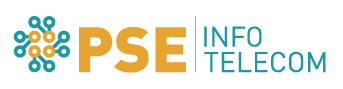PSE Asesores y Consultores Estratégicos logo